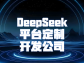 DeepSeek 平台定制开发公司：塑造数字化卓越体验
