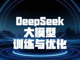 DeepSeek 大模型训练与优化