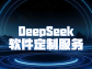 DeepSeek 软件定制服务：量身打造企业专属软件方案